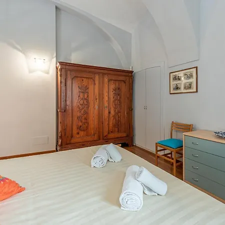 L'antico Cedro * Alba (Piedmont)